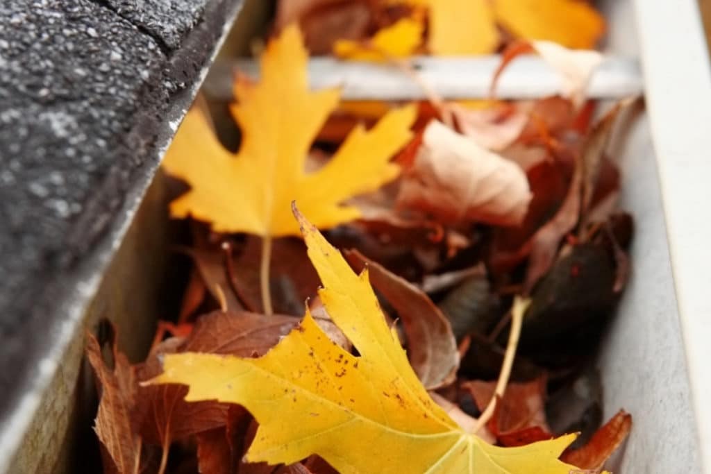 commercial gutter cleaning