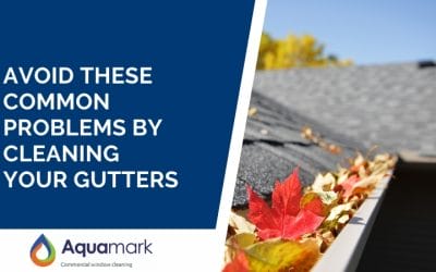 Avoid These Common Problems By Cleaning Your Gutters