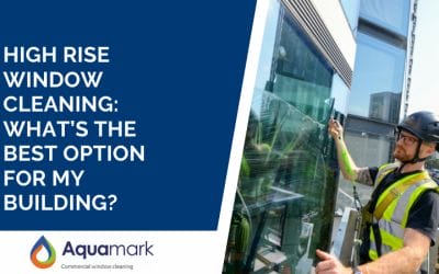 High Rise Window Cleaning: What’s The Best Option For My Building?