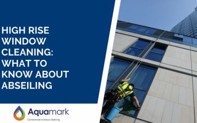 High Rise Window Cleaning: What To Know About Abseiling